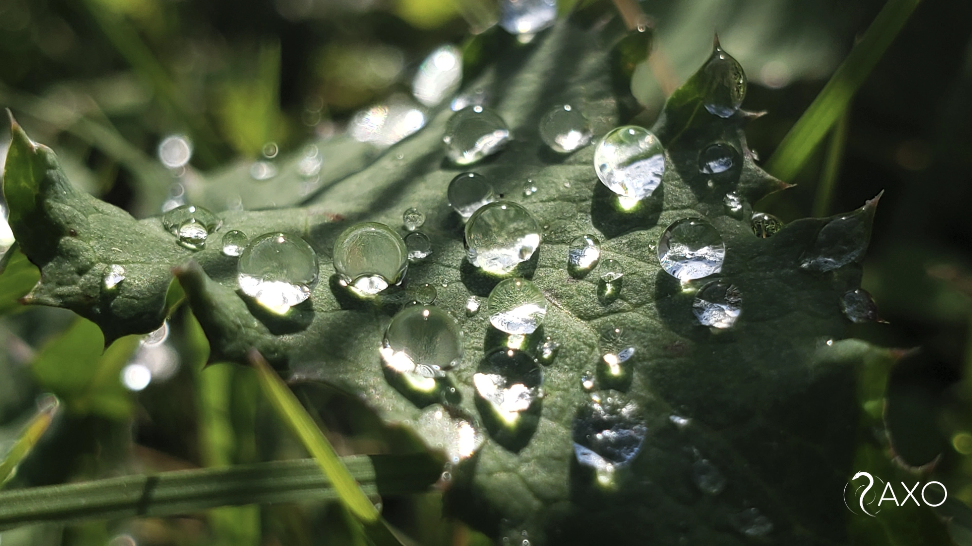 Fotografía 10